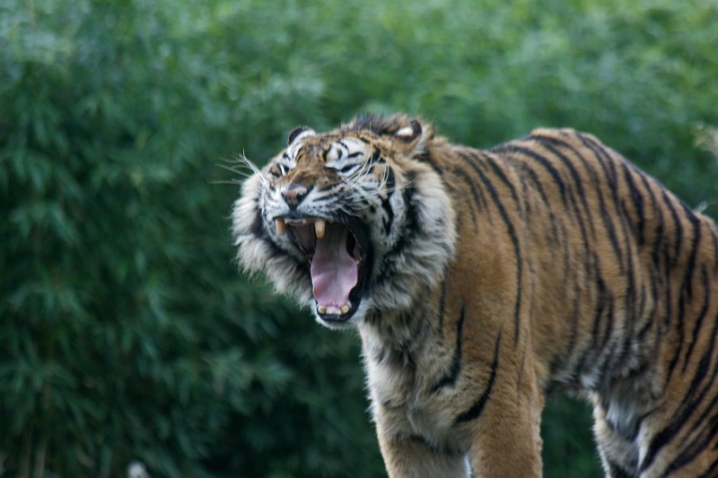 Fotoclubje Blijdorp 2008-26.jpg